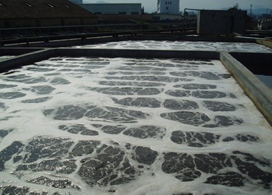 二沉池運行常規(guī)監(jiān)測項目