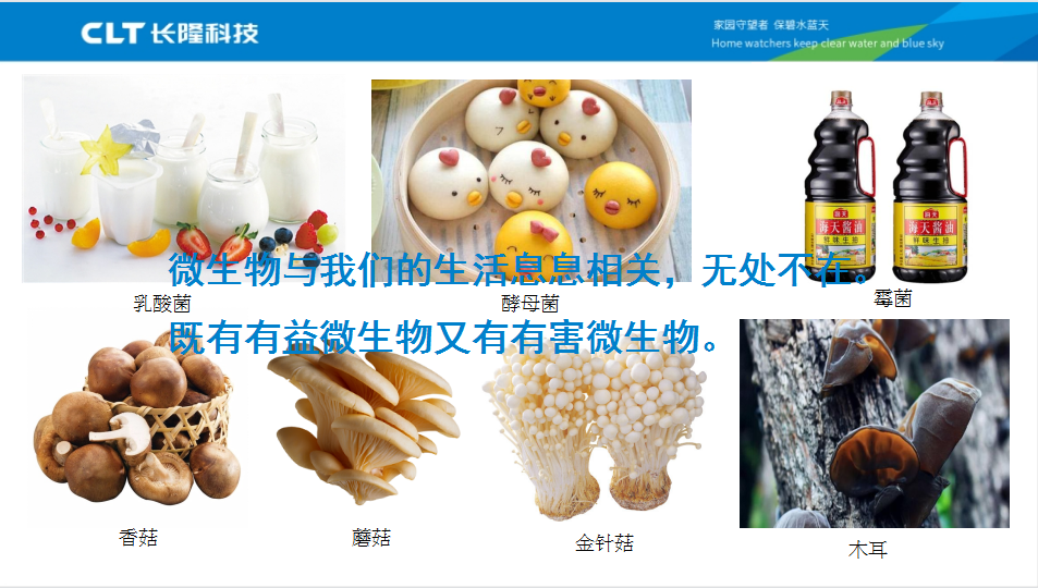 微生物無處不在